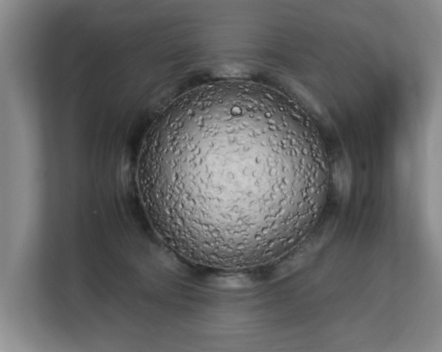 X0000112730322200908271433