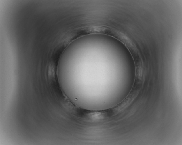 X0000112730326200908271433