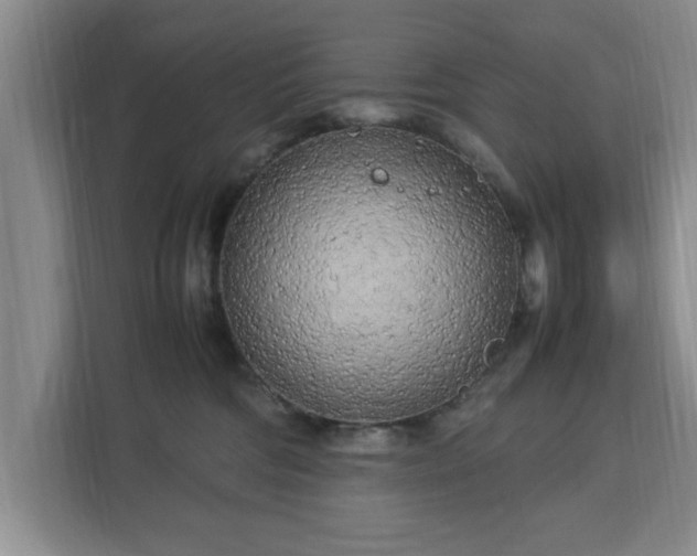 X0000112730330200908271433