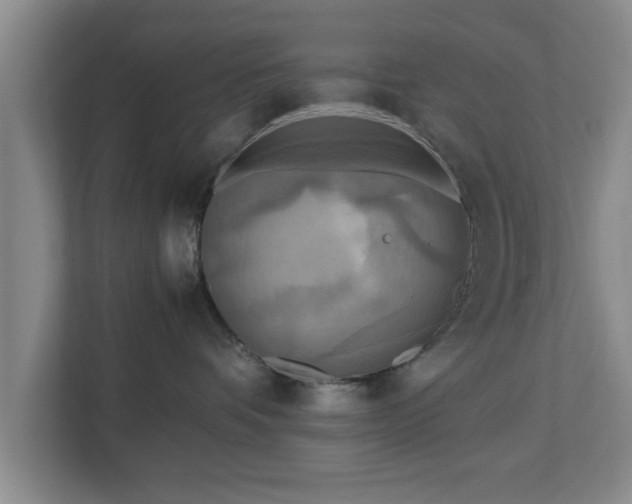 X0000112730336200908271433