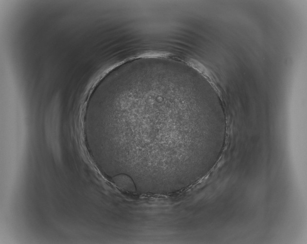 X0000112730337200908271432