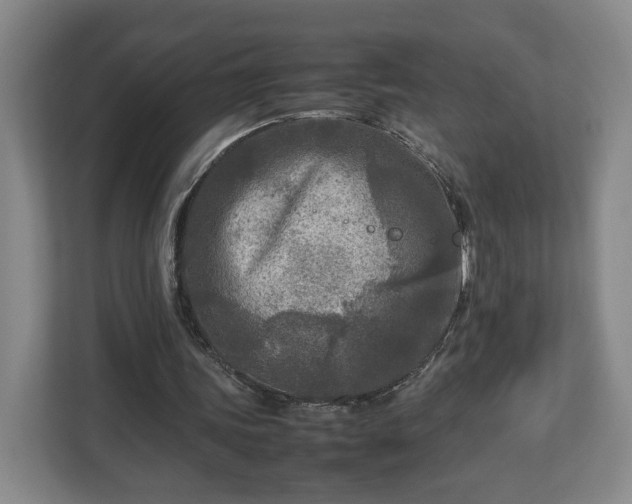 X0000112730339200908271432