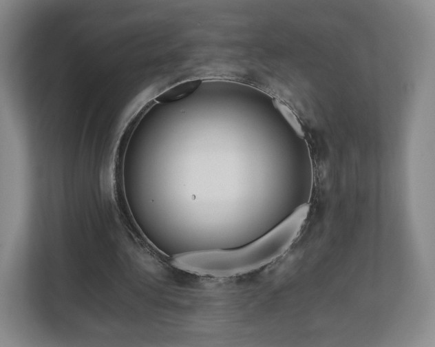 X0000112730340200908271432