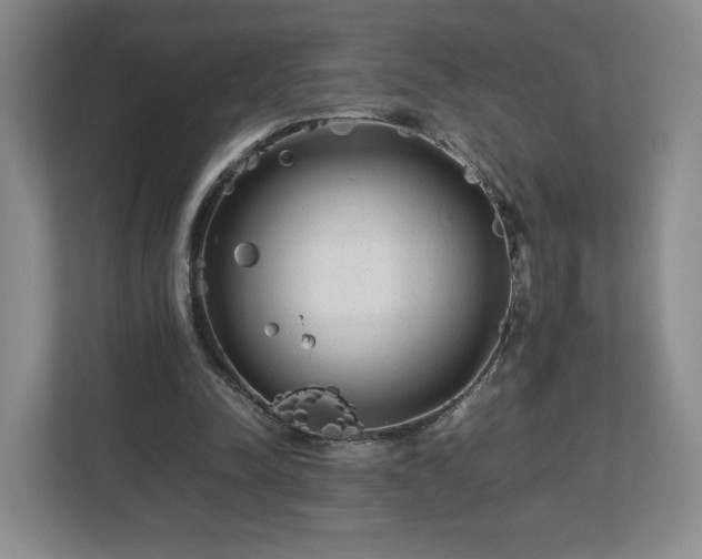 X0000112730342200908271433