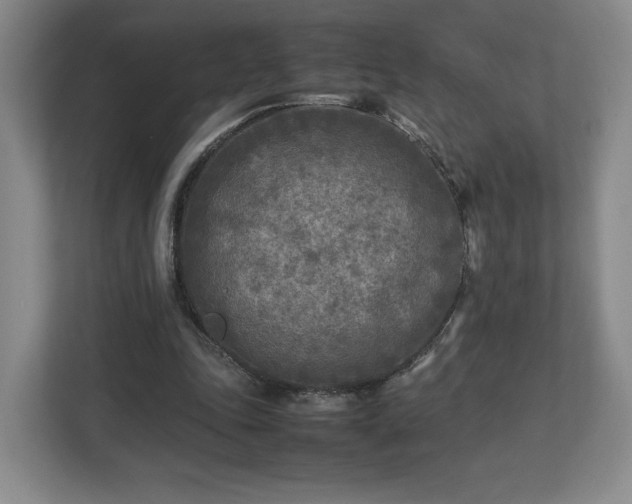 X0000112730343200908271433