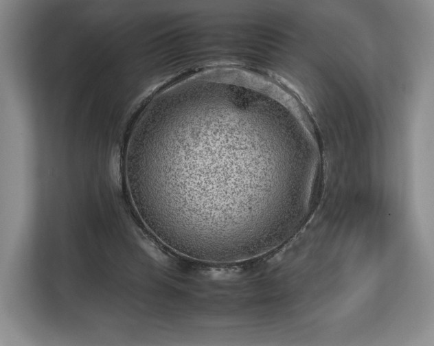 X0000112730345200908271433