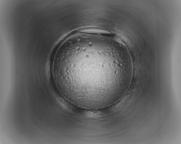 X0000112730346200908271433