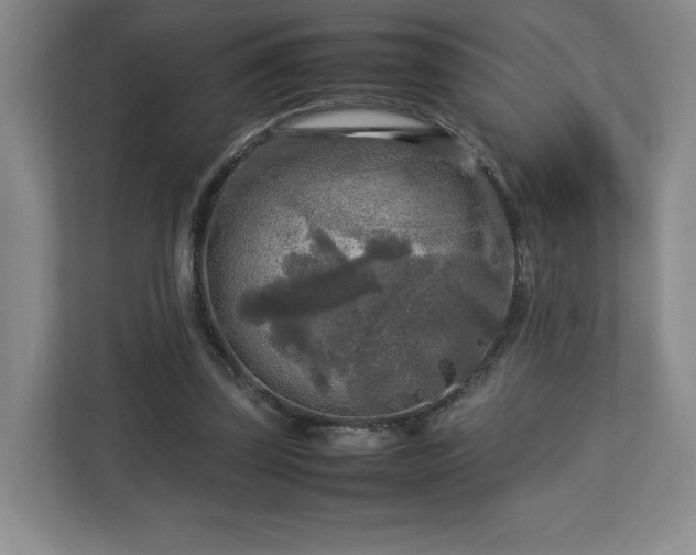 X0000112730347200908271433