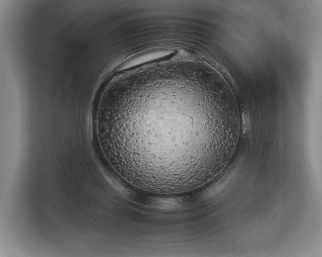 X0000112730349200908271433