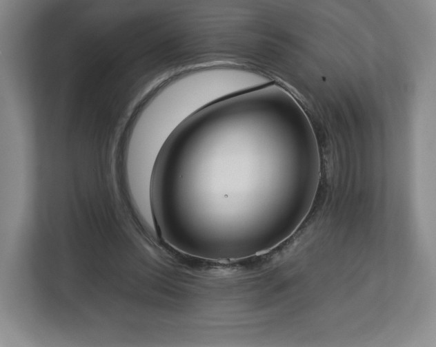 X0000112730350200908271433