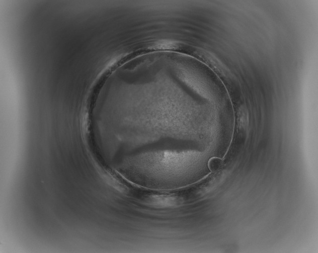 X0000112730351200908271433