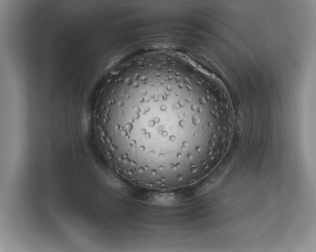 X0000112730355200908271433