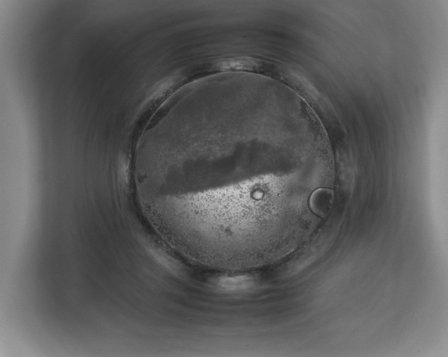 X0000112730357200908271433