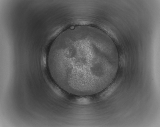 X0000112730358200908271433