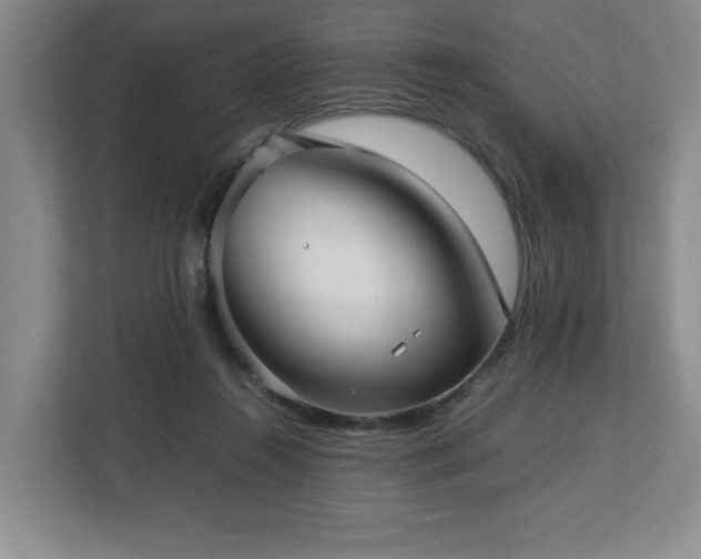 X0000112730360200908271433