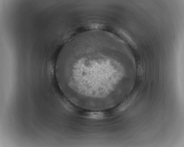 X0000112730363200908271433