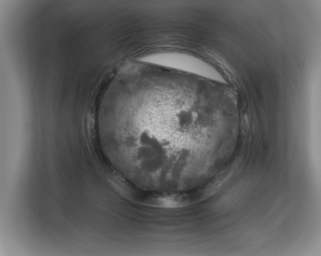 X0000112730365200908271433