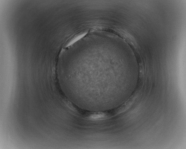 X0000112730369200908271433