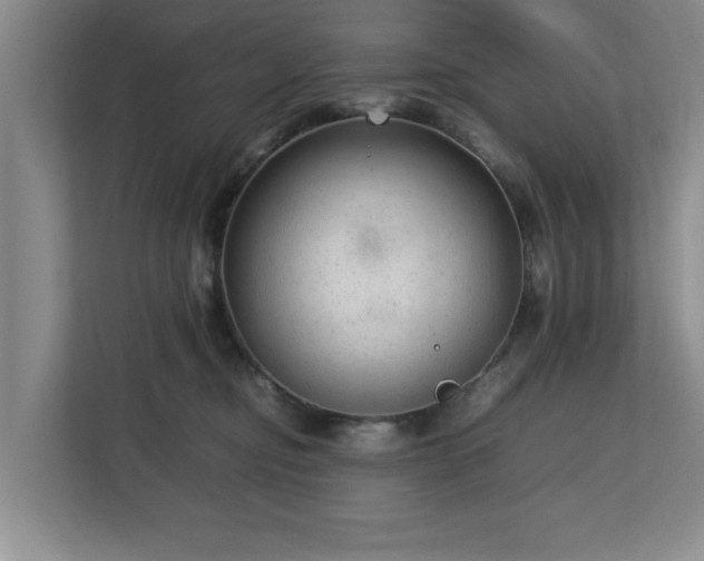 X0000112730374200908271433