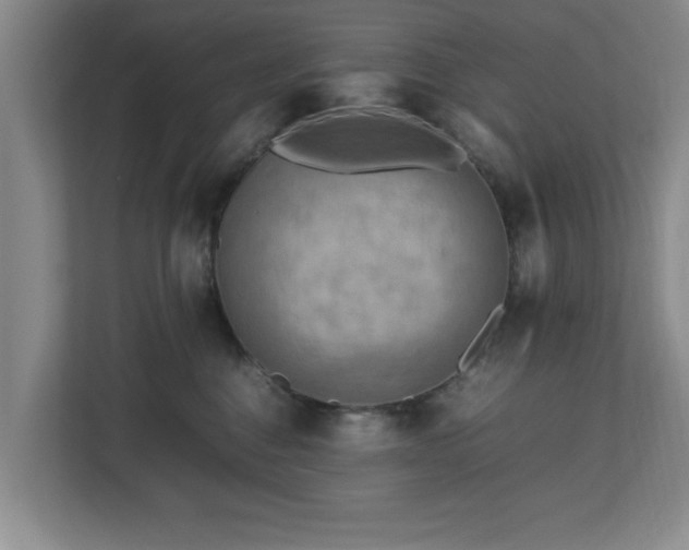 X0000112730376200908271433