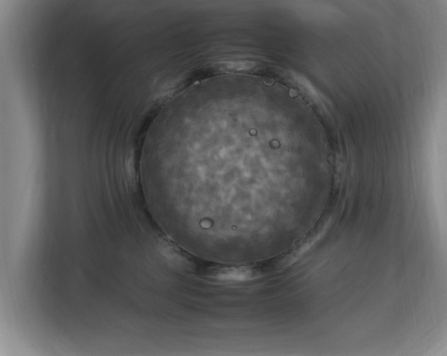 X0000112730377200908271433