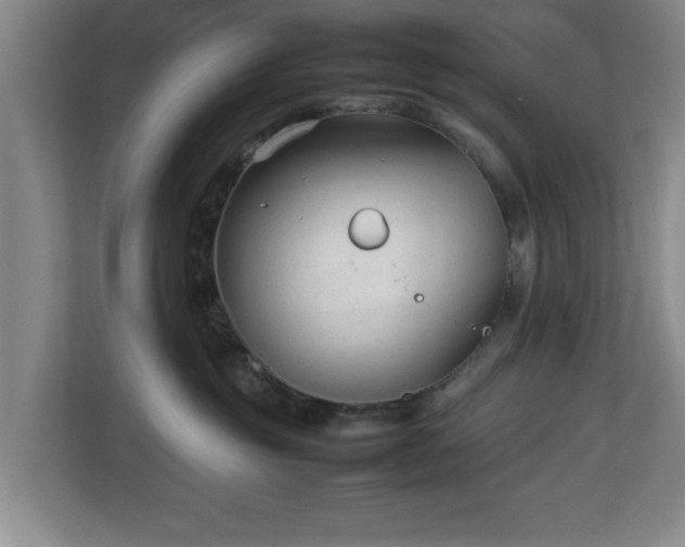 X0000112730381200908271433