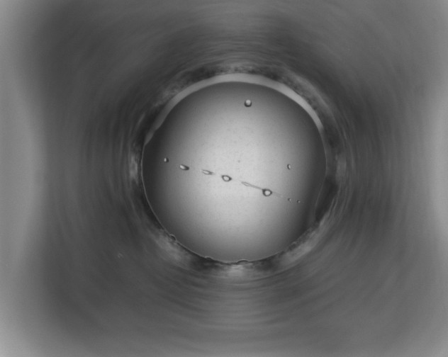 X0000112730382200908271433