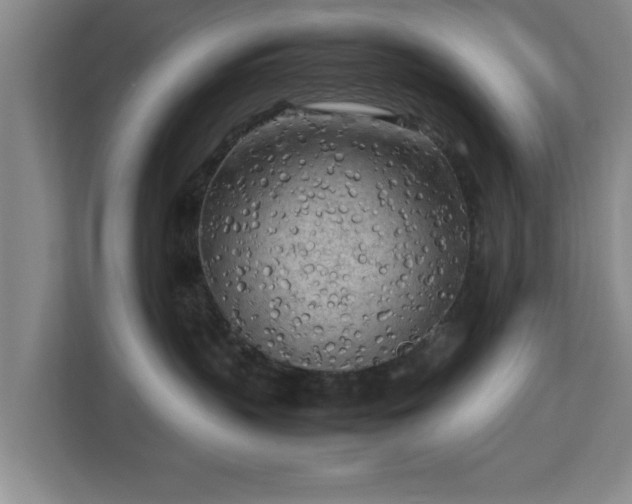 X0000112730383200908271433