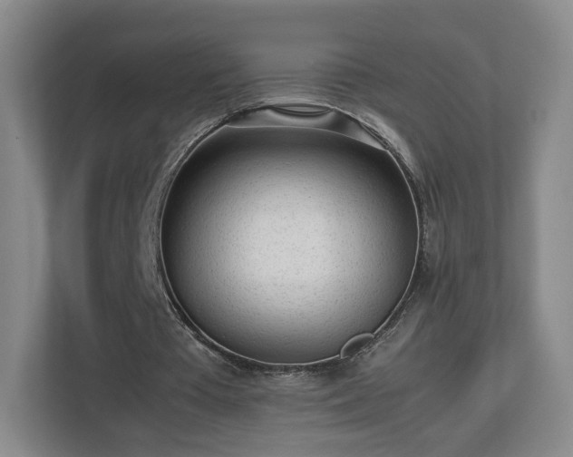 X0000112730385200908271432