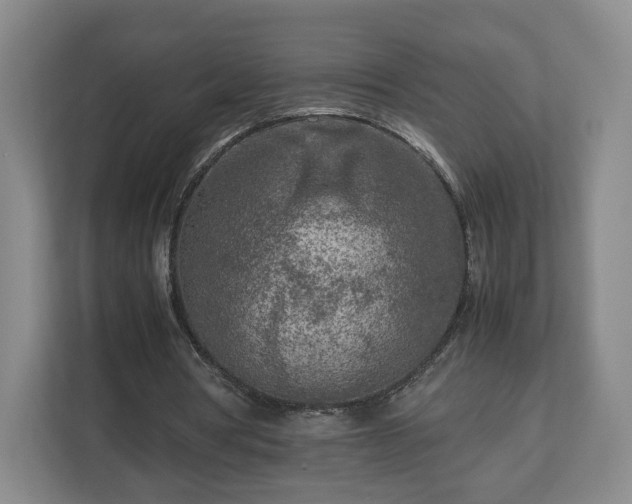 X0000112730386200908271432