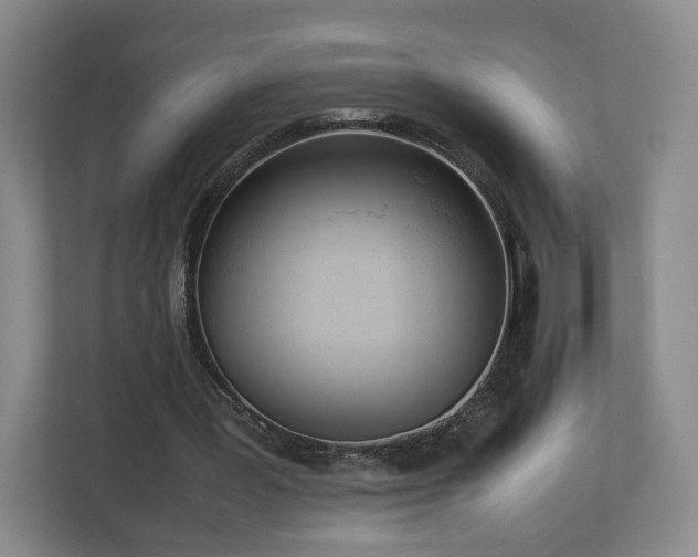 X0000112730387200908271432