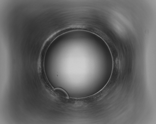 X0000112730388200908271432