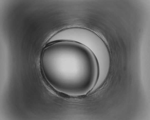 X0000112730389200908271432