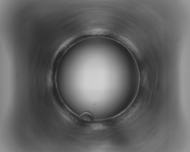 X0000112730392200908271432