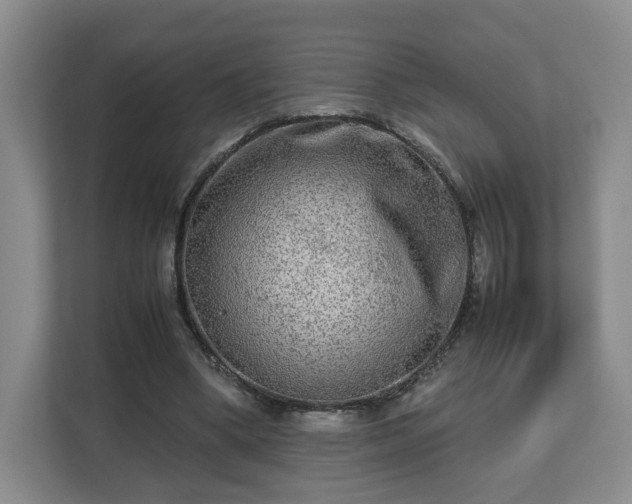 X0000112730394200908271432