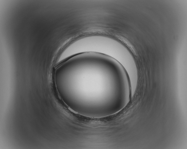 X0000112730399200908271432