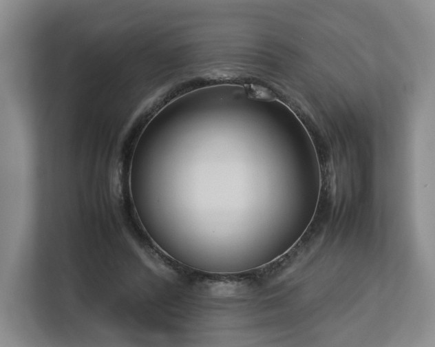 X0000112730400200908271432