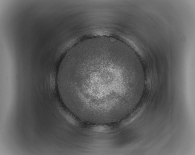 X0000112730402200908271432