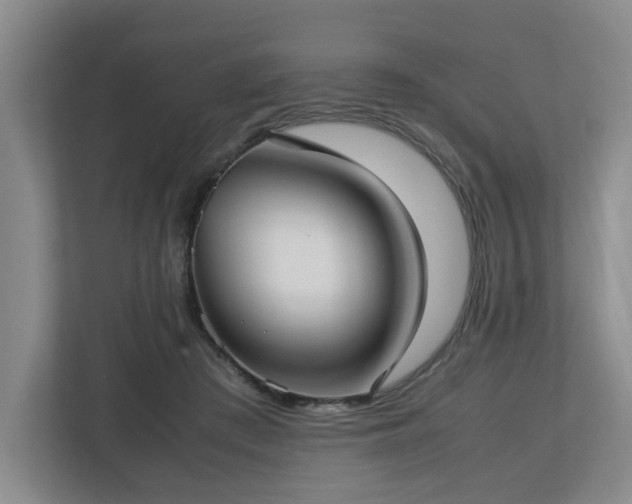 X0000112730409200908271432