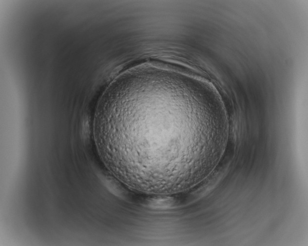 X0000112730410200908271432