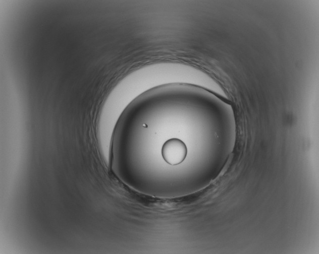 X0000112730419200908271432