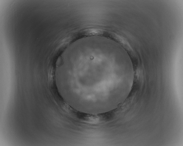 X0000112730423200908271432