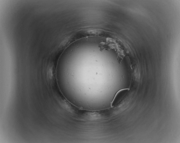 X0000112730424200908271432