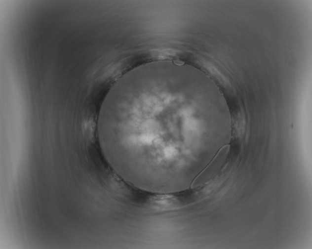 X0000112730427200908271432