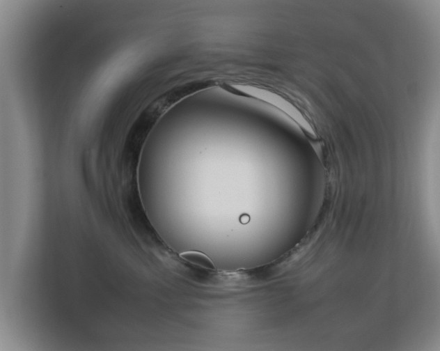 X0000112730429200908271432