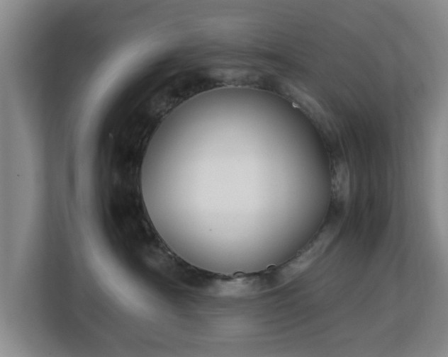 X0000112730430200908271432