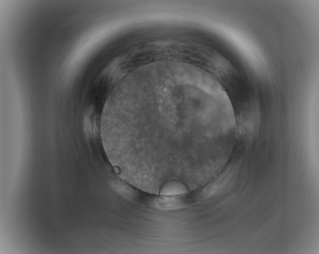 X0000112730431200908271432