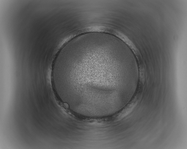 X0000112730434200908271431