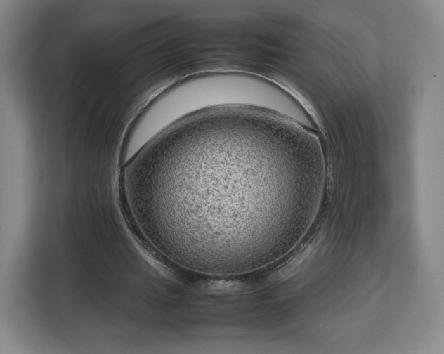 X0000112730437200908271431