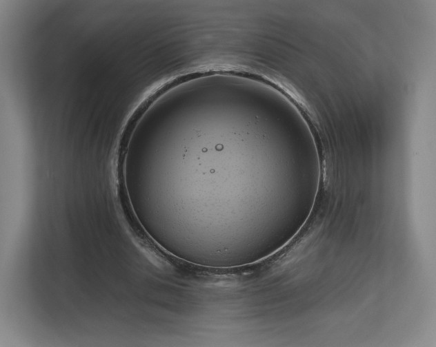 X0000112730438200908271431